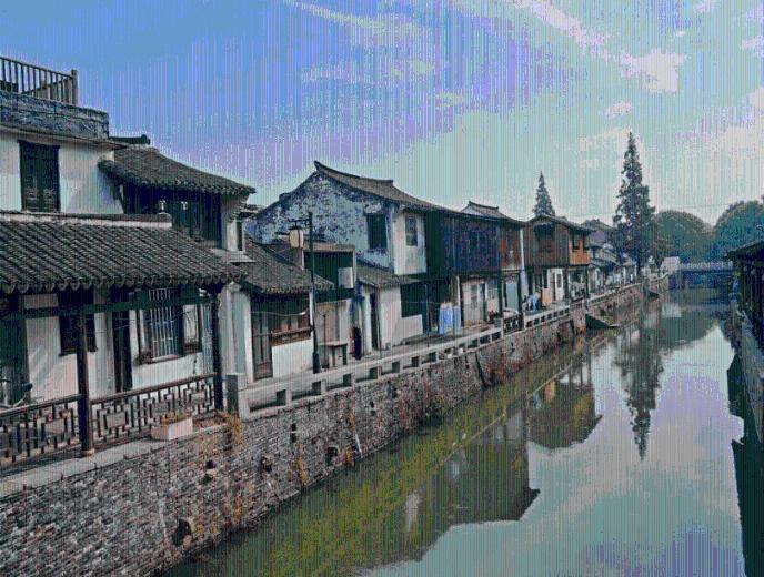 可爱小猫向上跳